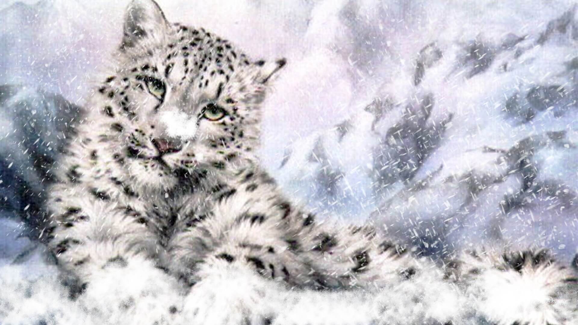 Snow-leopard-light-96557